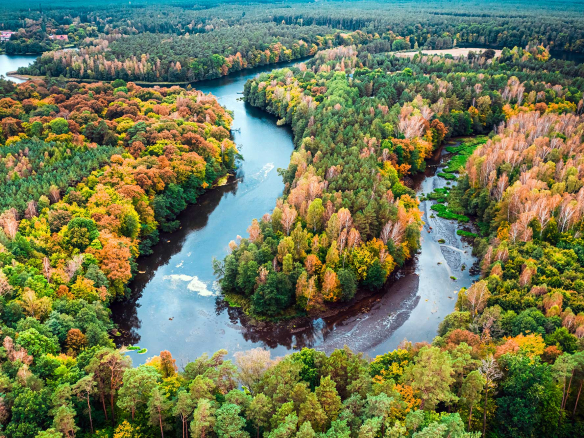 River Site
