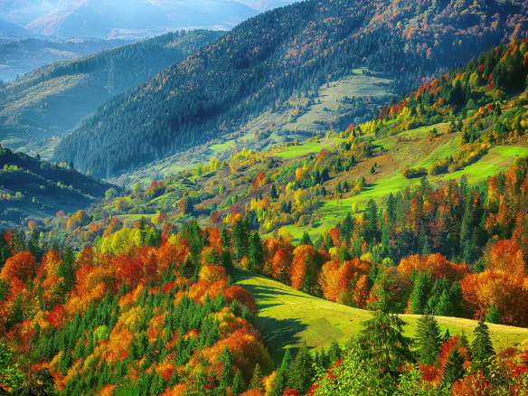 Hunting Land